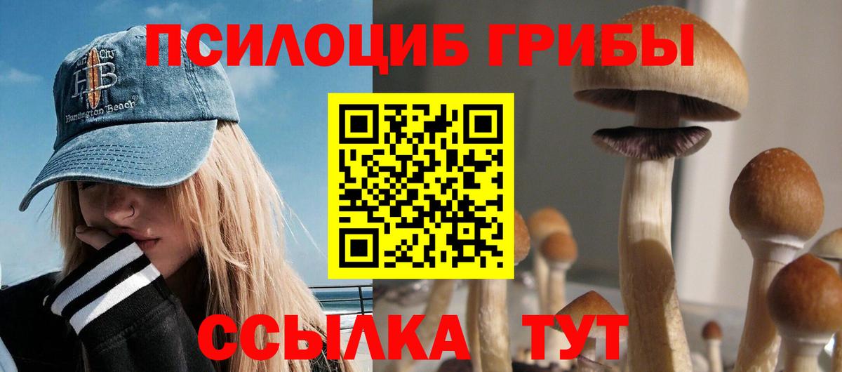 Орск  Галлюциногенные грибы прущие грибы  Вход с VPN  Галлюциногенные грибы Psilocybine cubensis 