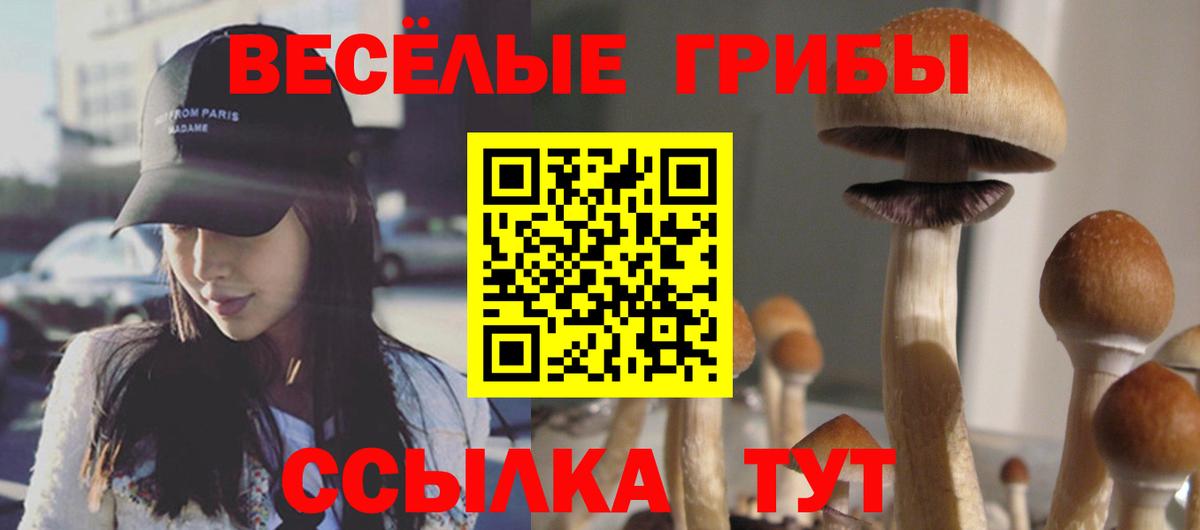 Псилоцибиновые грибы Magic Shrooms Орск
